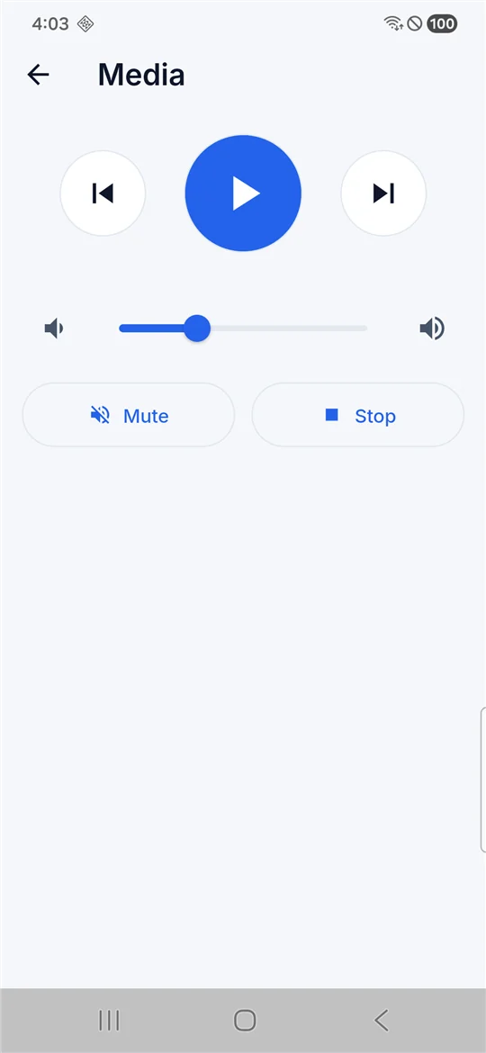 Padly's media remote with play, previous and next buttons, a volume slider, and mute and stop controls